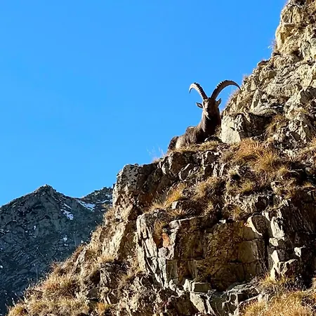 Holiday home Casa Della Nonna